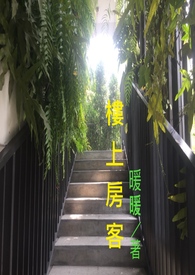 楼上房间为什么会有小壁虎